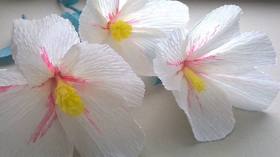 Цветы из креповой бумаги фото.